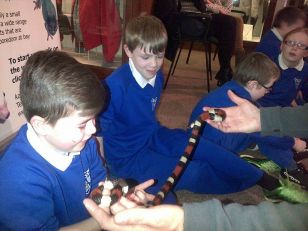 Primary 5 & 6 pupils learn about Exotic Animals.